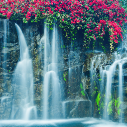 Fragrance Oil - Hibiscus Waterfalls (BBW Dupe)
