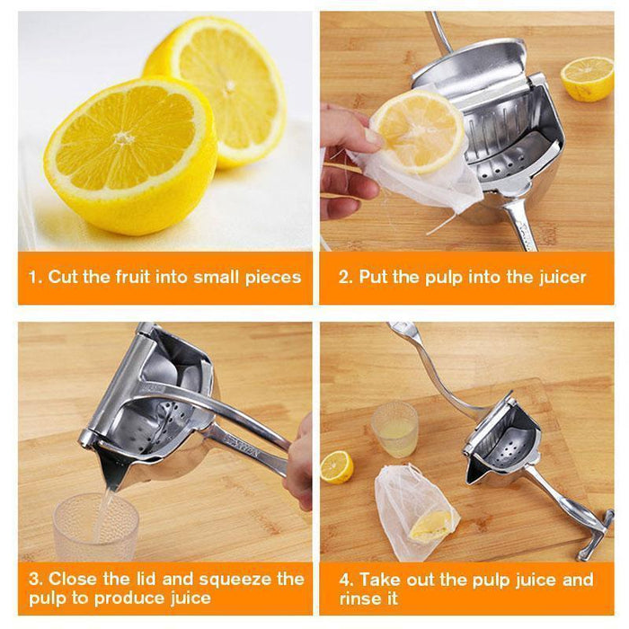 Fruit Juice Squeezer (Hot Sales) Blossom Online UG