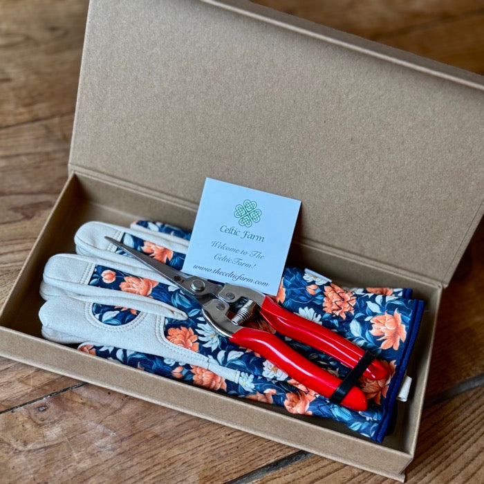 Garden Gift Box - Gloves and Needle Snips