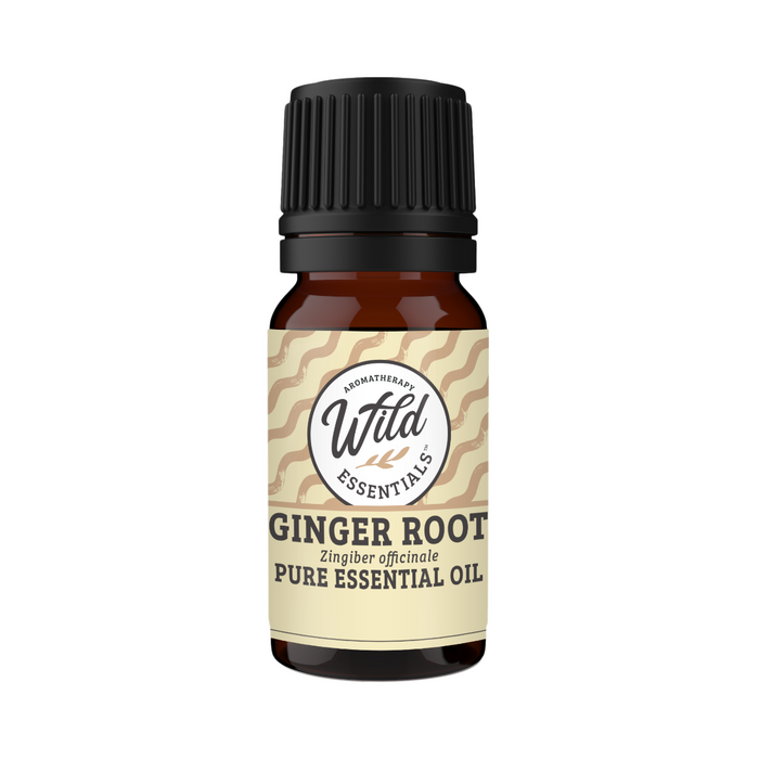 Ginger Pure Essential Oil