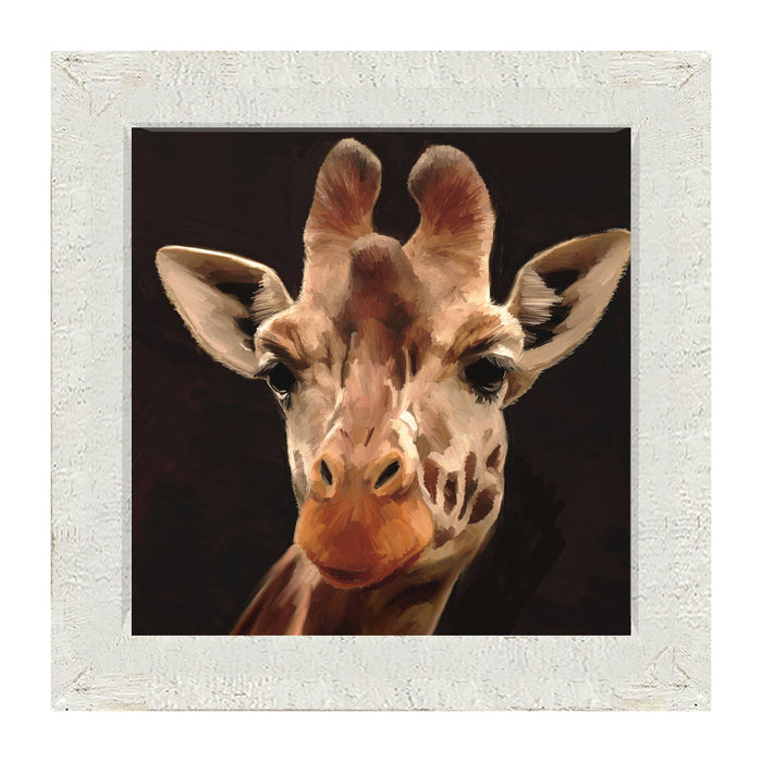 Giraffe - Framed art