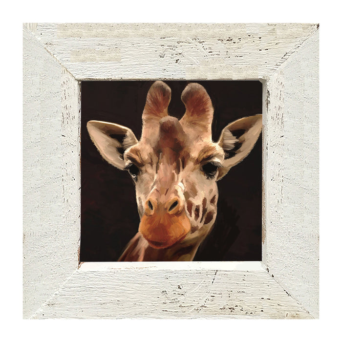 Giraffe - Framed art