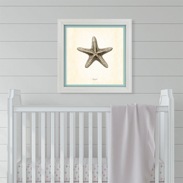 Gray Starfish