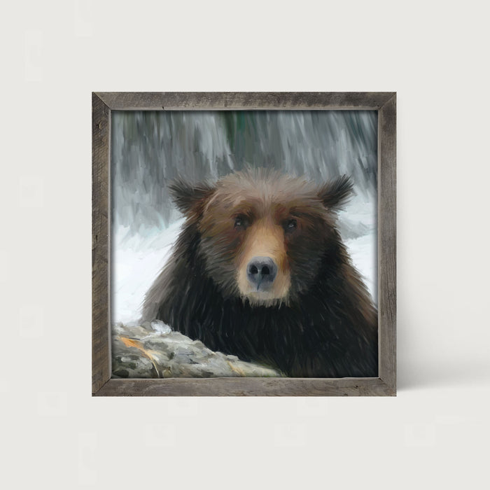 Grizzly - Framed art