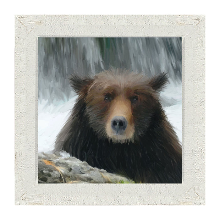 Grizzly - Framed art