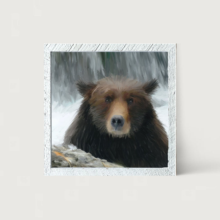 Grizzly - Framed art