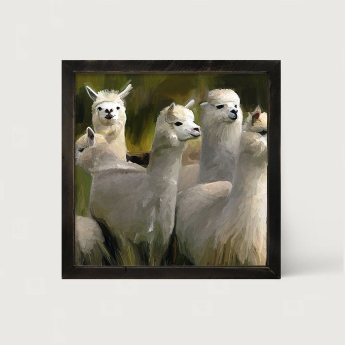 Herd of Alpacas - Framed art