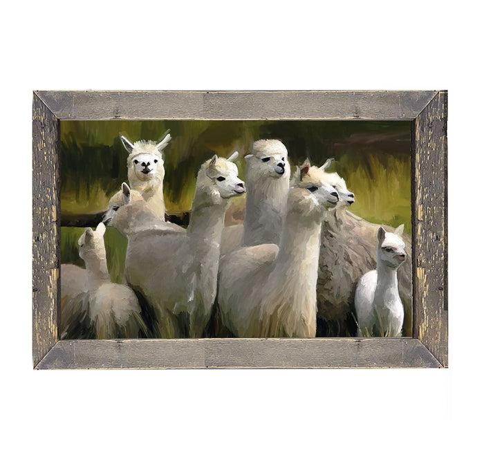 Herd of Alpacas - Framed art
