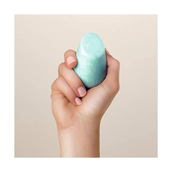 HIBAR Solid Shampoo Moisturize الشامبو الصلب