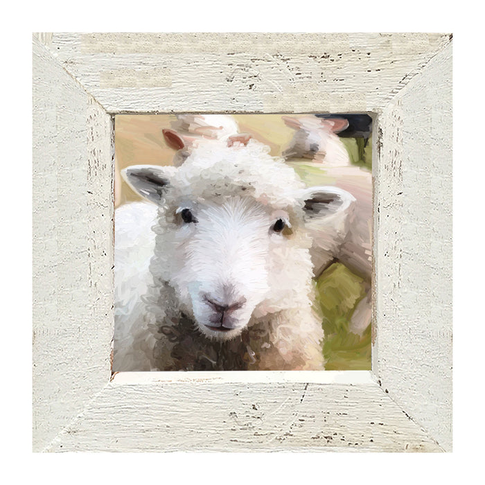 Lamb - Framed art