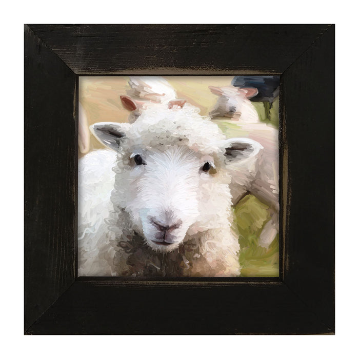 Lamb - Framed art