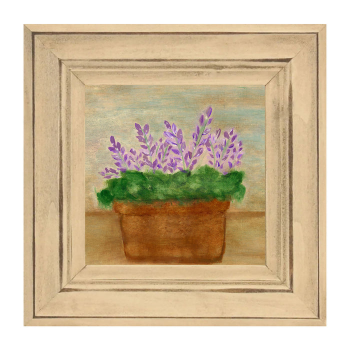 Lavender