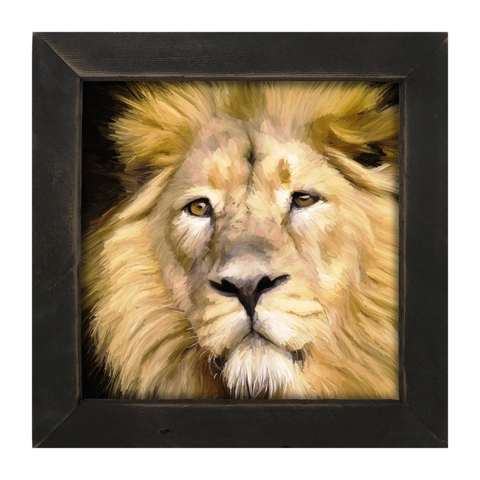 Lion - Framed art