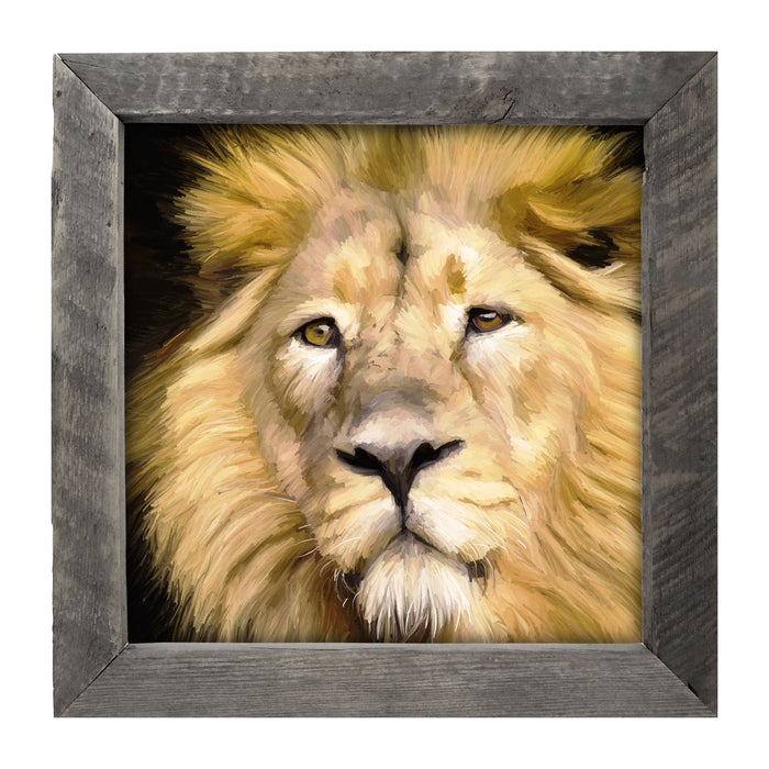 Lion - Framed art