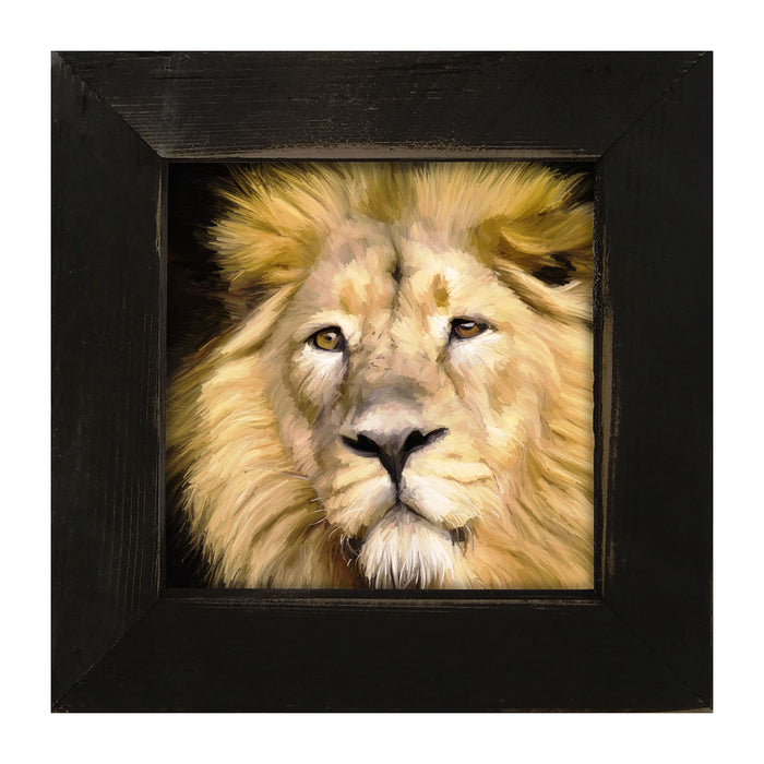 Lion - Framed art