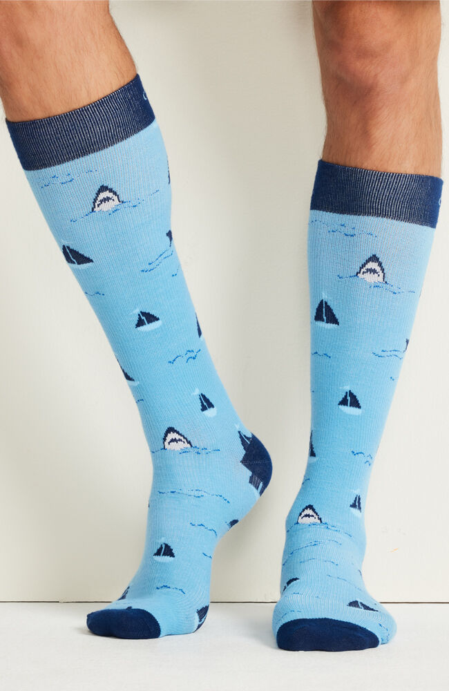 Sails And Sharks