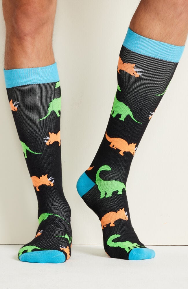 Dancing Dinos
