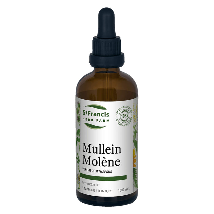 Dropper Bottle of St. Francis Herb Farm Mullein Tincture 100mL
