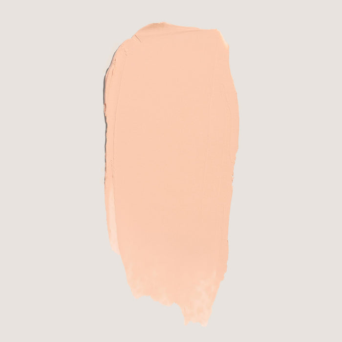 FlexShade Foundation by No Makeup Makeup swatch in porcelain
