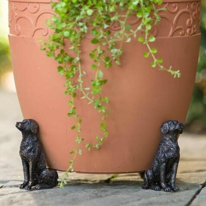Pieds De Pot En Forme d'Animal Mignon (3 PCS ) ciaovie