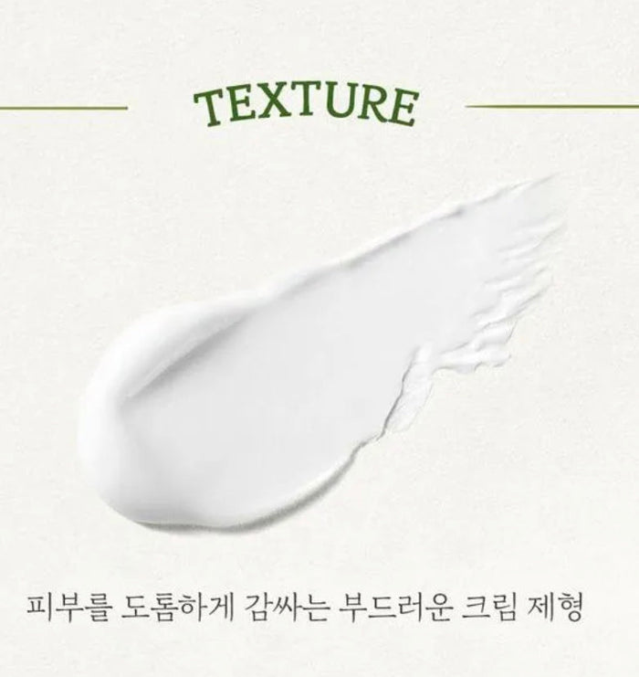 SKINFOOD Garden Bean Gentle Fresh Foam Cleanser