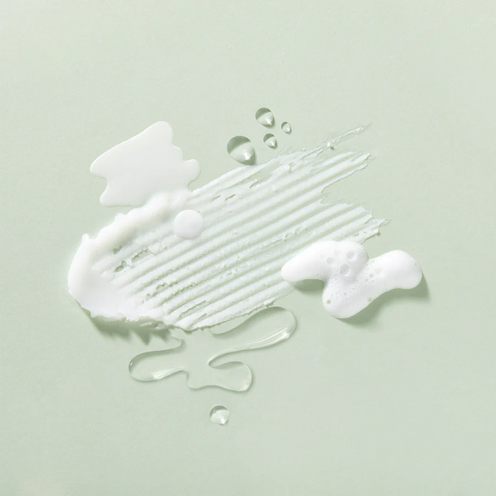 SKINFOOD Garden Bean Gentle Fresh Oil Cleanser