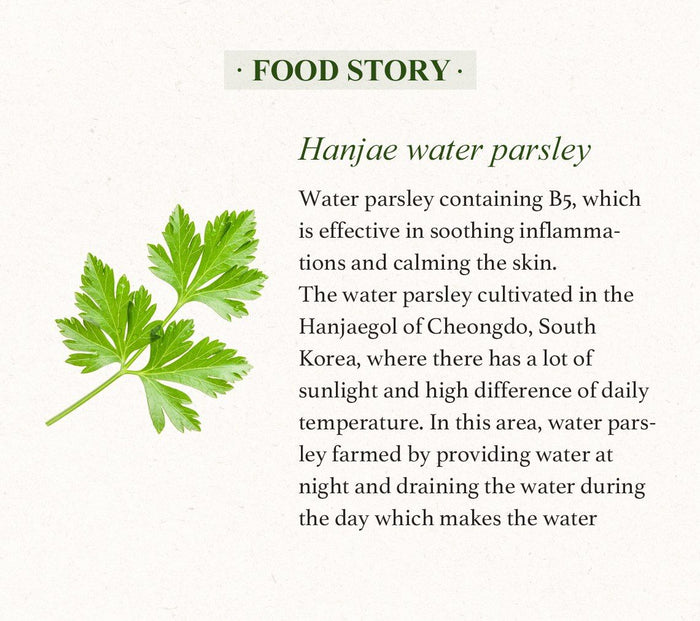 SKINFOOD Pantothenic Water Parsley Toner تونر القدونس من سكن فود
