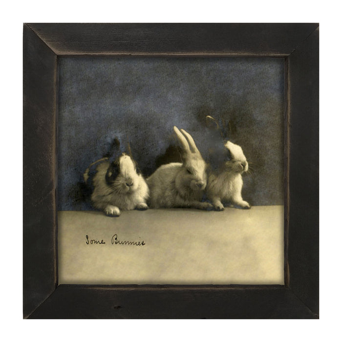 Some Bunnies - Framed art