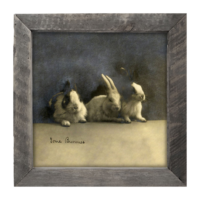 Some Bunnies - Framed art