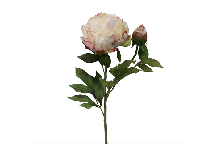 Water Color Stem