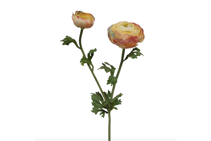 Water Color Stem
