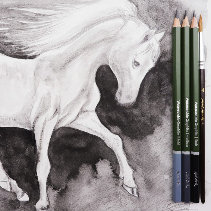 Watersoluble Graphite Pencils Signature 5pc