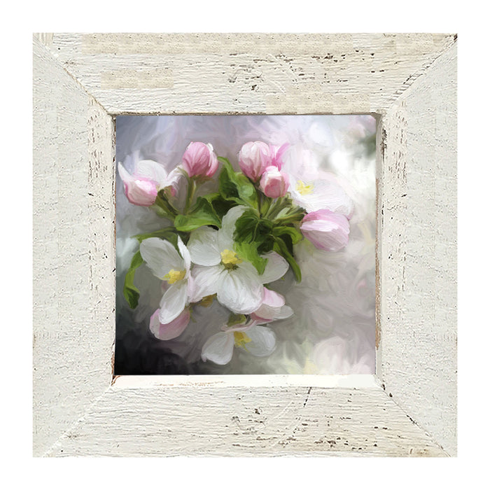 Square / Small / White