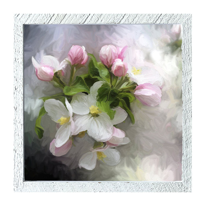 Square / XL / White