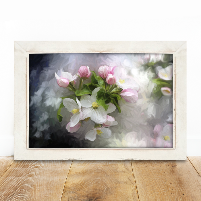 White and Pink Blooms