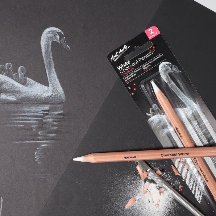 White Charcoal Pencils Lge Hex Signature 2pc