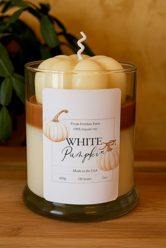 White Pumpkin- Soy Wax Candle
