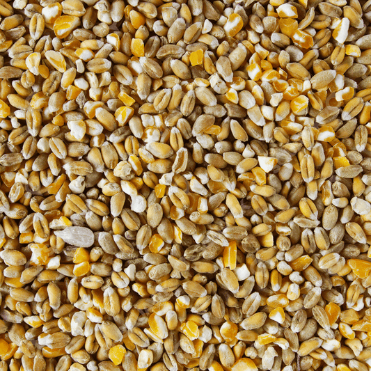 Widmer: Mixed Corn 3kg
